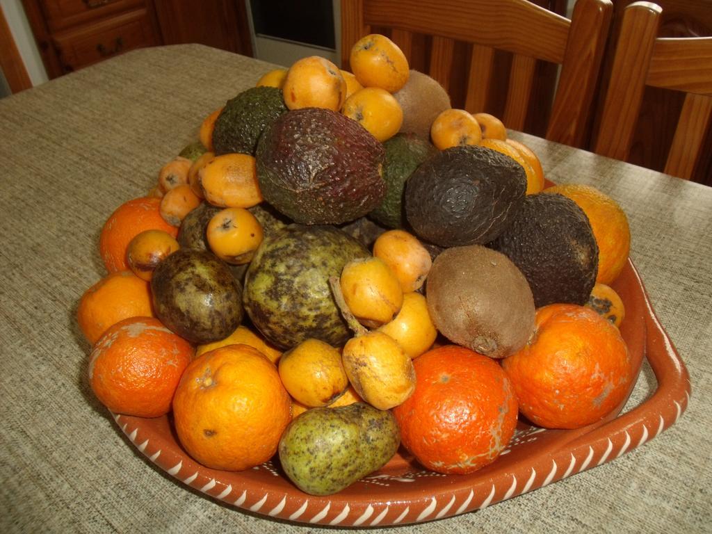 Hotel Tropical Fruit Garden Velas Zewnętrze zdjęcie